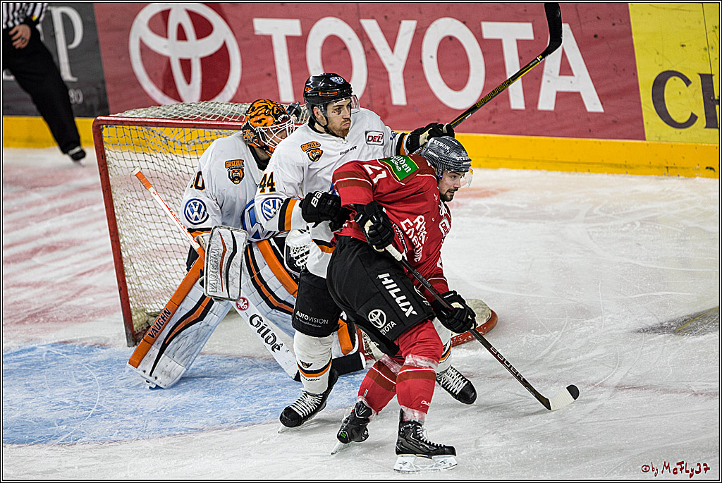 DEL, Koelner Haie - Grizzlys Wolfsburg, 17.03.2017